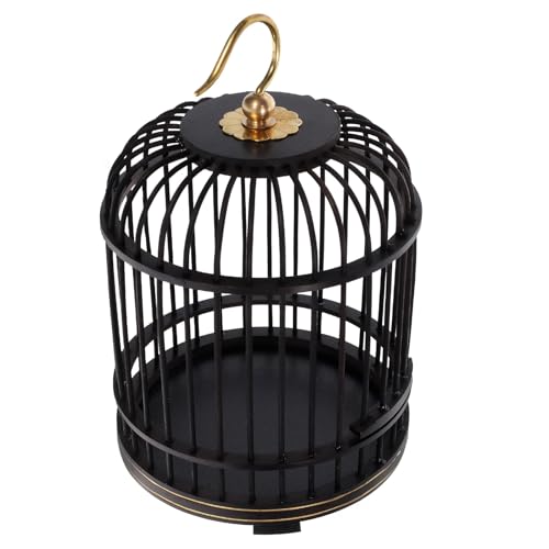 Cage à sauterelles portable pour observer les insectes en famille au jardin