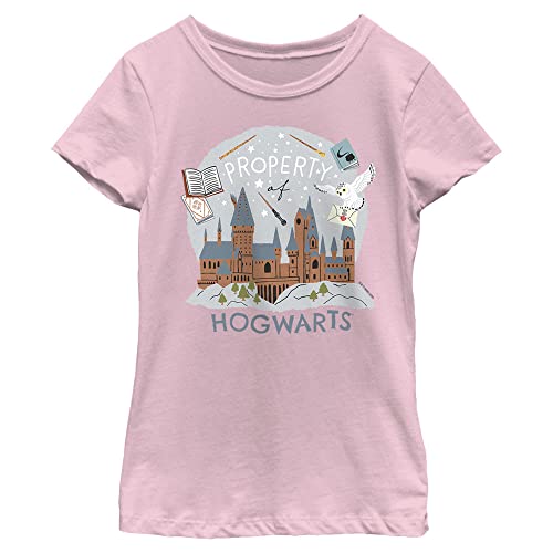 Harry Potter Unisex Child Hogwarts Property T-Shirt, Pink, X-Large US