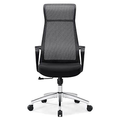 Tribesigns Ergonomic Office Chair, High Back Computer Chair with Headrest, Modern Mesh Desk Chair with Armrest, Rolling Task Chair with Tilt Function for Home Office