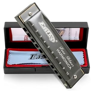 Professional Harmonica for Adults-East top 10 holes professional diatonic harmonica, suitable for blues, folk, rock, country, jazz, etc. Ideal for professional harmonicas and beginners. This Blues professional harmonica has exquisite workmanship, bea...