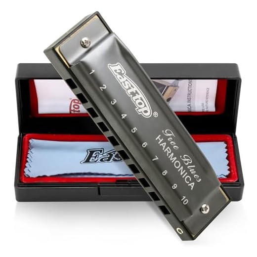 East top Armónica de Blues Diatónico Llave de C, 10 Agujeros 20 Tonos Blues Arp Mouth Organ Armónica para Adultos, Principiantes, Profesionales y Estudiantes (Gris Plata)
