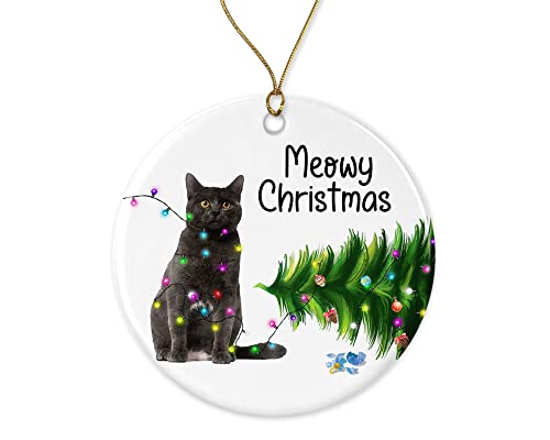 HTDesigns Chartreux Cat Christmas Ornament - Funny Cats Ornaments -