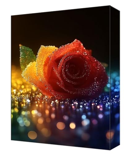 Coloriage par numero art peintures kit anti-stress pour débuter la peinture facilement
