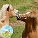 The Blissful Horses Boo Boo Butter All Natural Support for Your Horses Discomforts