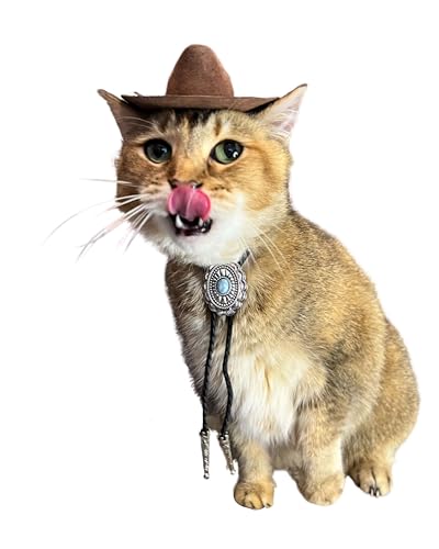 Sombrero vaquero marrón con corbata bolo para gato miniatura 3