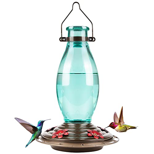 5 Best Hummingbird Feeders With Heater in 2023 HayFarmGuy