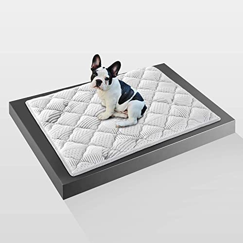 Farmarelax - Coussin pour chien en mousse à mémoire de forme 60 x 80 cm Matelas pour Chien, Cuisse pour chien Lavable, doux, accueil, déhoussable Toppy Cover