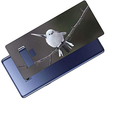 ClearView Galaxy Note9 (SC-01L SCV40)�Ή� �w�ʕی�t�B���� ���킢���V�}�G�i�K�̃v�����g(Photo by ������)