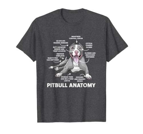Pitbull Anatomy Funny Bulldog Lover Dog Owner T-Shirt, Men, Dark Heather Grey, 4X-Large