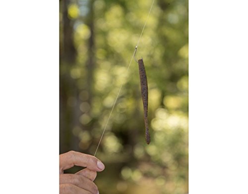 Isca Berkley Power Bait Maxscent Hit Worm Isca (10 unidades), sementes de abóbora, 11,4 cm