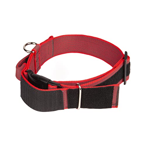 JULIUS K-9 200HA-K-R-2015 Color & Gray series- K9-Halsband mit Haltegriff, Sicherheitsverschluss und Logo und Sicherheitsverschluss, 50 mm*49-70 cm, verstellbar, rot-grau, 50 mm (49-70 cm)