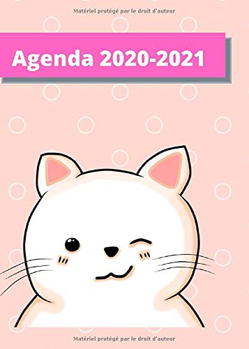 Télécharger Agenda 2020 - 2021: Organisateur Scolaire Journalier - 12 x 17 cm - format pratique - Décor chat to Gratuit