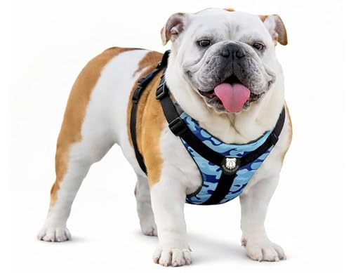 Bulldog Grade No-Pull Harness – Wide-Chest Fit