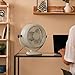 Imagen de Cecotec Ventilador de Sobremesa EnergySilence 800 RetroDesk Beige