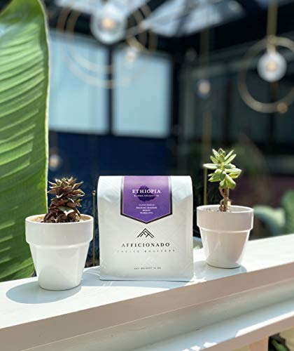 Afficionado Coffee Roasters' Hamma Collective Ethiopia