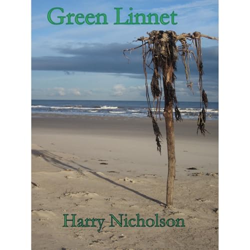 Green Linnet Audiolibro Por Harry Nicholson arte de portada