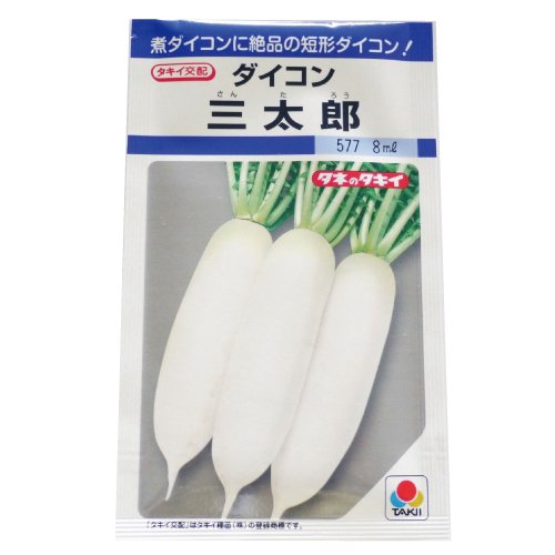 Amazon.co.jp: Daikon Seeds [Santaro] Seed Small Bag (Approx