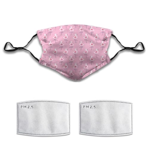Cute Flamingos Face Mask Adult Washable Reusable Pleated Anti Dust Mask 5-Layer Protection Fashion Adjustable Cloth Mouth Masks with 2 Filter for Women Men Unisex Decorative, 1 Pcs