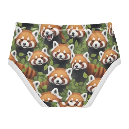 Joisal Print Toddler Underwear Floral 2t Cotton Panties Little Girl Adorable Brown Raccoon Faces Briefs Underpants2