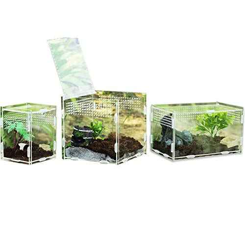Reptiel voederdoos: transparante reptielkweekbox, huisdier acryl 360 graden hoge transparante magnetische klimdoek… - Afbeelding 4
