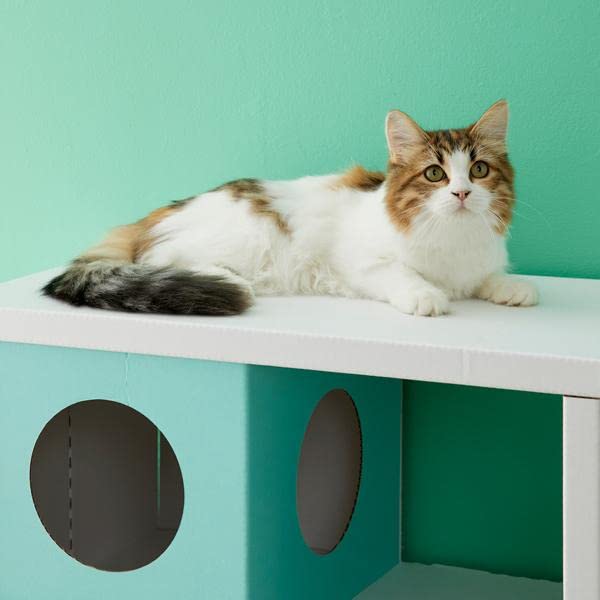 中古　キャットタワーシェルフ Amazon.co.jp: キャットタワー シェルフ 4段 猫 家具 撥水加工あり 棚