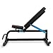 CapitalSports Adjustar Banco de Entrenamiento Adaptable (Peso máximo soportado 300kg, Varios Niveles...
