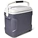 Igloo 40369 Iceless Thermoelectric Cooler (Silver/White, 28-Quart)