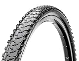 wrestler tot dezember 2018 Faltbarer Ring MUD Wrestler KV 700 X 33