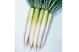 David's Garden Seeds Radish Miyashige 200 Non-GMO, Heirloom Seeds