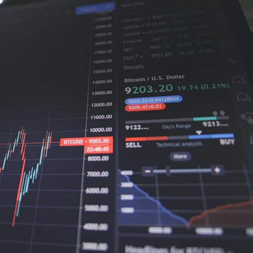 Who Participates in the Forex Market?