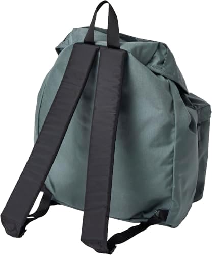 Amazon.co.jp: KELTY(ケルティ) バックパック ORIOLE 収納スペース多数