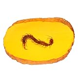 DECORNIJIA Bernstein Anhänger mit Künstlichem Insektenpräparat Specimen Schmuckanhänger aus Harz und Wachs Warmgoldener Natur schmuck für Damen und Naturliebhaber