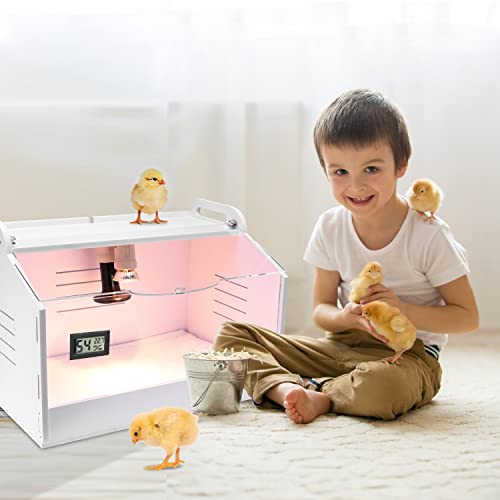 Boîte à couveuse WIONBE pour installer vos poussins à la maison - 4