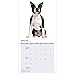 Boston Terrier 12 Month 2016 Mini Calendar