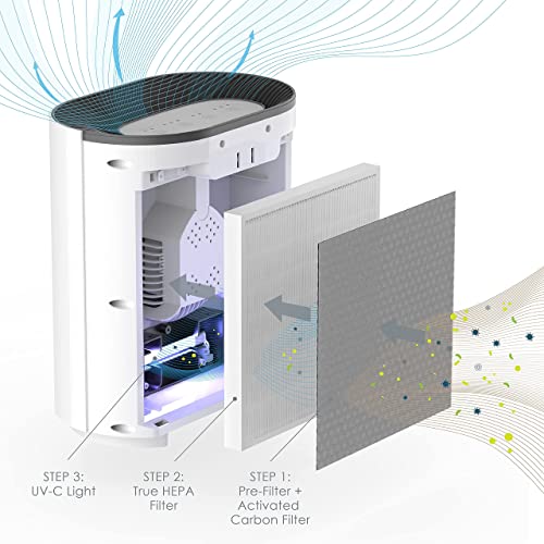 True HEPA Air Purifier for Allergies