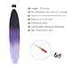 Liang Dian Pre-Stretched Braiding Hair 22 Inch 6 pcs Hot Water Setting Synthetic Hair Crochet Braiding Hair Extension (Mixed black/Dark Purple/Light Purple)