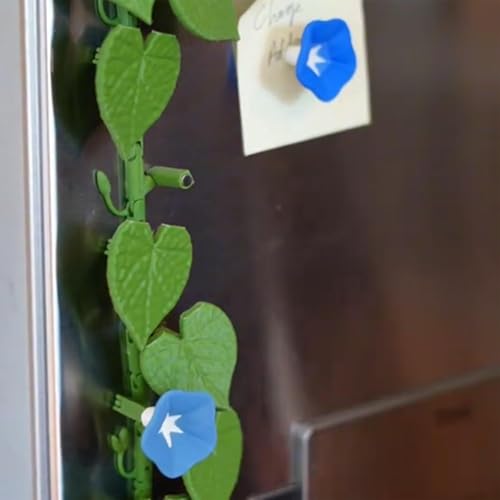 Tableaux et réfrigérateurs ordonnés grâce aux aimants 3D Morning Glory - 6