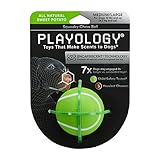 Playology - Squeaky Chew Ball Dog Toy - Medium/Large - Engaging All-Natural Sweet Potato Scent