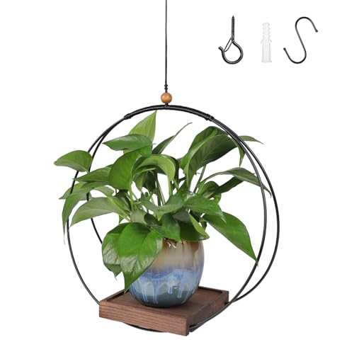 Hanging Plant Holder Indoor, Modern Boho Hanging Planter with Stu...