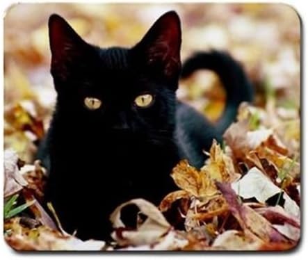 Black Kitten Cat Lover Pagan Wiccan Mouse Mat Pad Mousepad