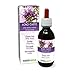 Produktbild Mönchspfeffer (Vitex agnus-castus) Früchte Alkoholfreier Urtinktur Naturalma | Flüssig-Extrakt Tropfen 120 ml | Nahrungsergänzungsmittel | Veganer