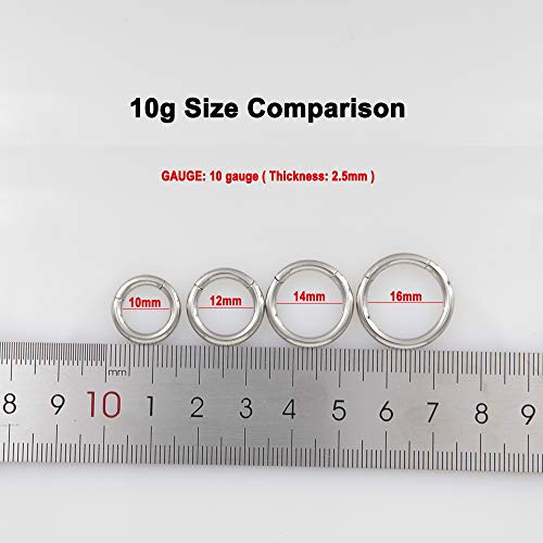 Image of FANSING Men Women 316L Surgical Steel Hinged Nose Rings Hoop for Nostril Septum Cartilage Helix Daith Tragus Rook Conch Lip Ear Lobe Piercings