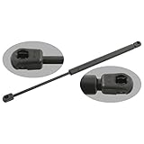 Länge: 452 mm, Gehäusedurchmesser: 19 mm, Kolbenstangendurchmesser: 8 mm, Ausschubkraft: 710 Newton, Einbauseite: rechts, Hublänge: 170 mm, Gewicht: 0,276 kg