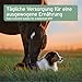 AniForte Bio Ägyptisches Schwarzkümmelöl für Hunde & Pferde 500ml - Kaltgepresstes, natürliches Schwarzkümmel Öl, Barf Zusatz in Premium Qualität, Recyclebare Verpackung
