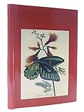 Butterflies, Moths and Other Insects (Classic Natural History Prints S)