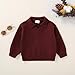 YOUNGER STAR Toddler Boy Girl Sweater Baby Fall Shirt Pullover Long Sleeve Knitted Sweatshirt Winter Warm Clothes (Burgundy, 12-18 Months)