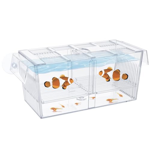 Pawfly Acrylic Laichkasten für Aquarium mit Saugnäpfen - Groß für Babyfische Garnelen Betta Guppy und Platys