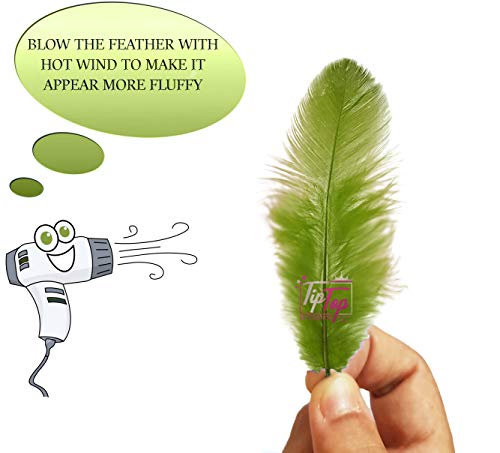 Image of TIPTOP DECORATION Natural Dyed Feathers 10 cm (80 pieces) (Mehndi Green)