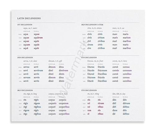 AZPAAAIH Educational Latin Declensions Chart Grammar Reference Canvas Painting Wall Art for Library Decor?(Unframed,16x24inch(40