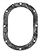 Carter Fuel Systems Fuel Pump Tank Seal Automotive Replacement (PTS2013)